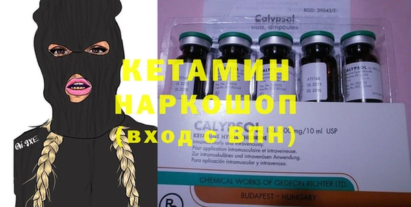 шишки Дмитриев