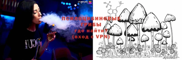 крисы Гусь-Хрустальный
