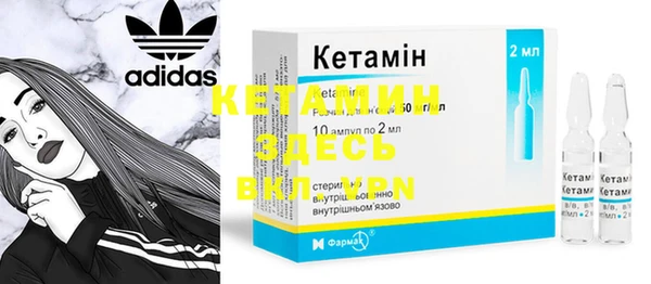 шишки Дмитриев