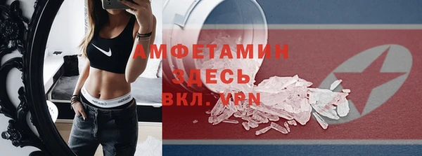 шишки Дмитриев