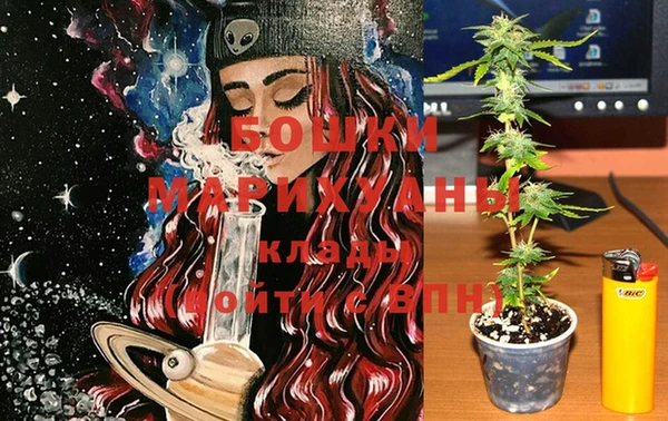 крисы Гусь-Хрустальный