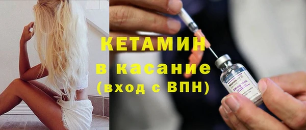 шишки Дмитриев