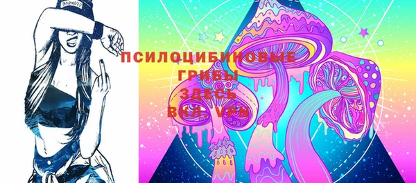 стафф Дмитровск