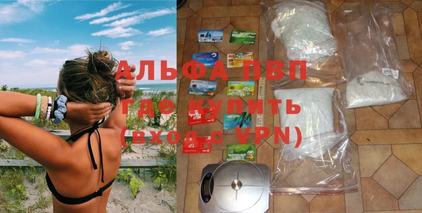 шишки Дмитриев