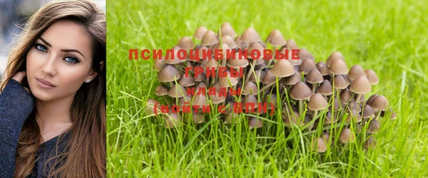 крисы Гусь-Хрустальный