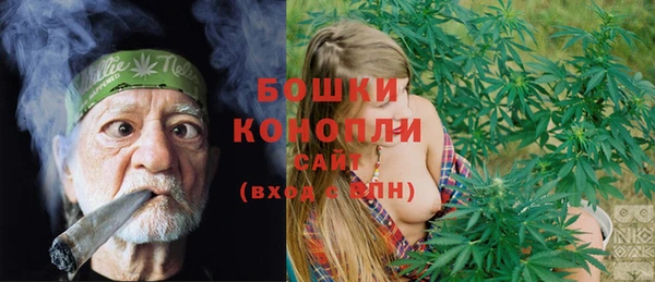 крисы Гусь-Хрустальный