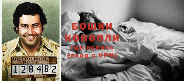 крисы Гусь-Хрустальный