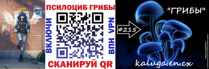 Купить  Каргат  Галлюциногенные грибы Psilocybine cubensis 