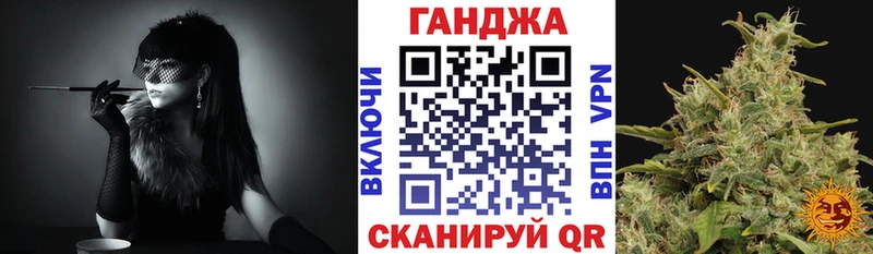 Бошки марихуана THC 21%  Купить где  Каргат 